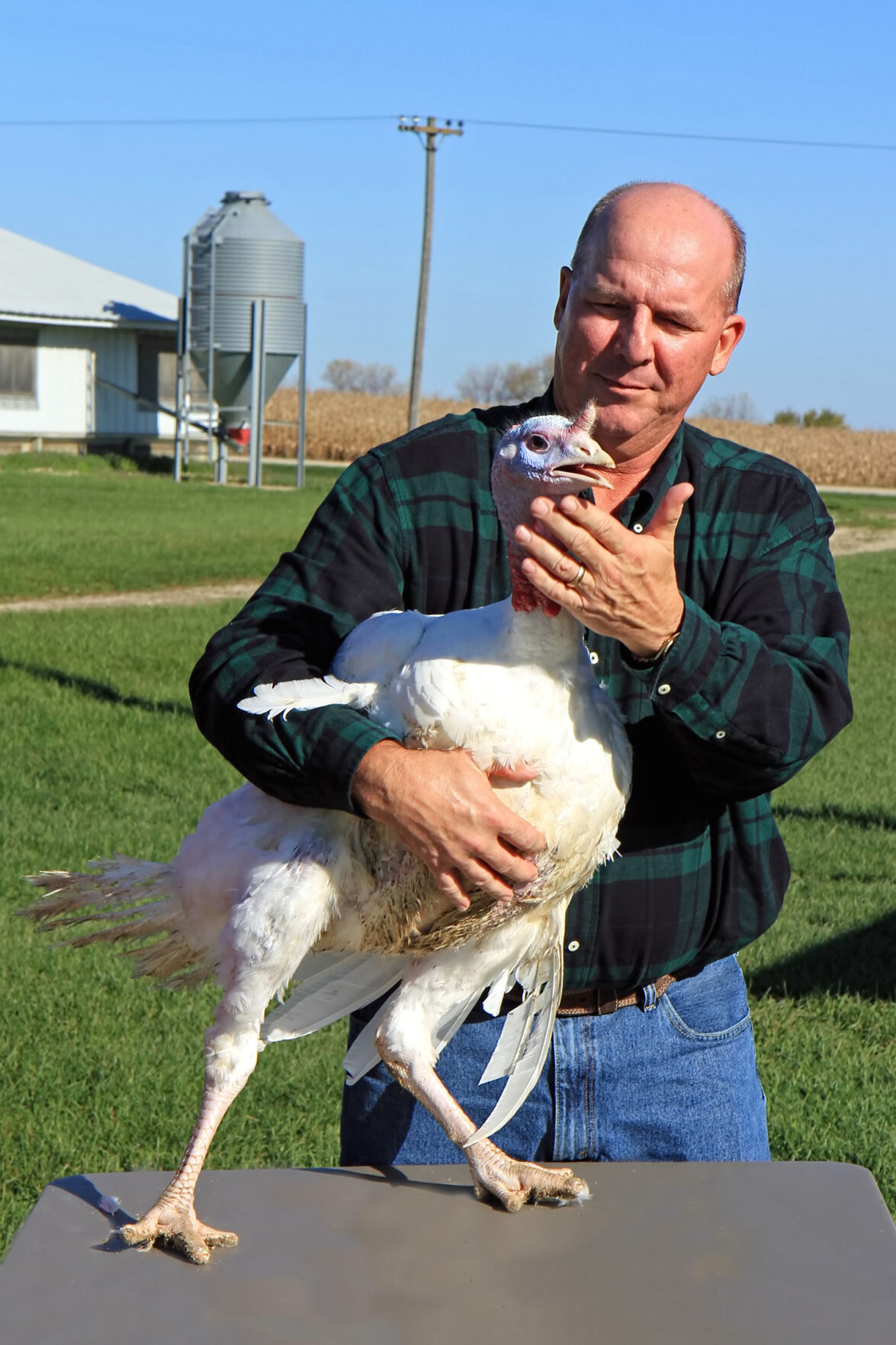 DeKalb County turkey farm ready for busiest season